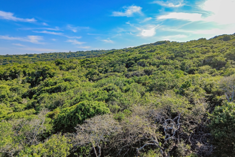 0 Bedroom Property for Sale in Seaview Eastern Cape